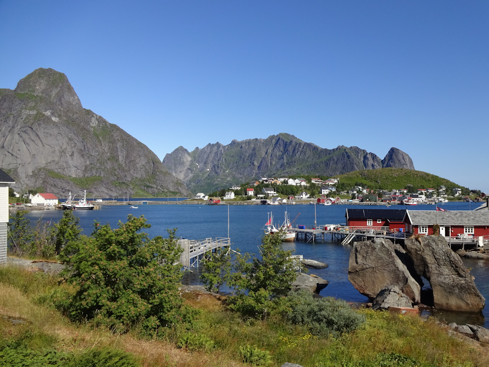 Reine